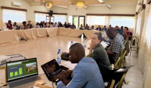 Grand Katanga : une coalition de la société civile plaide pour une meilleure gouvernance face aux dégâts miniers sur la forêt de Miombo