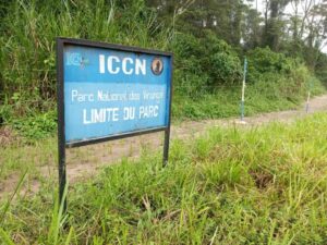 Nord-Kivu: trois morts dans une attaque attribuée aux miliciens Maï-Maï contre un site du Parc des Virunga
