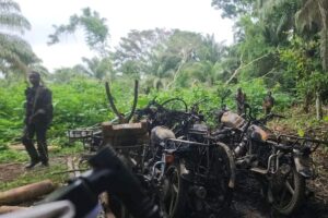 Est de la RDC : la menace persistante des ADF, une guerre reléguée au second plan