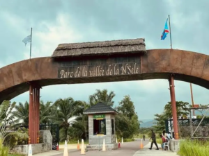 RDC : rumeurs de saisie à Kingakati, le Parc de la Vallée de la N’Sele recadre et dément toute confusion