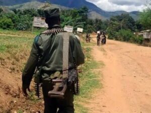 Rutshuru : une mère et ses cinq enfants massacrés à Bwito, l&rsquo;administrateur accuse les FDLR et le CMC