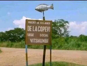 Rutshuru : reprise des activités à Vitshumbi après une attaque armée, trois otages retrouvés sains et saufs