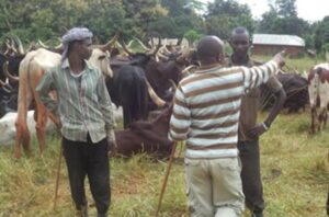 RDC : Mbororo, Shabani relance l’identification… pendant que le banditisme urbain continue d’inquiéter